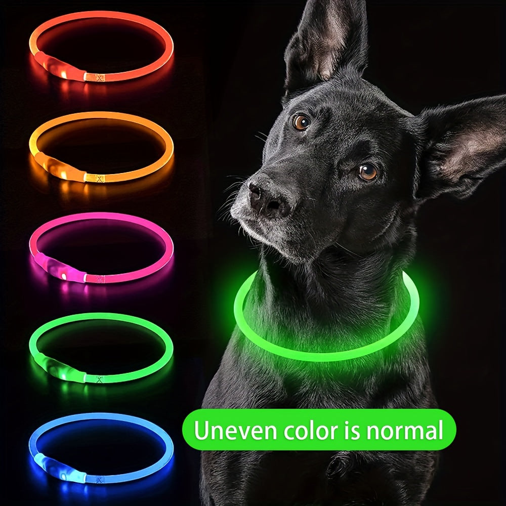 Hundhalsband med LED-ljus, helt lysande på natten, anti-förlust, USB-uppladdningsbart hundhalsband