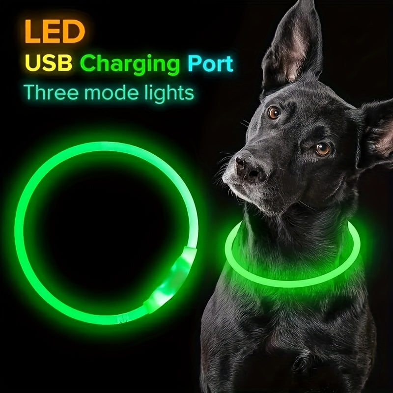 Hundhalsband med LED-ljus, helt lysande på natten, anti-förlust, USB-uppladdningsbart hundhalsband