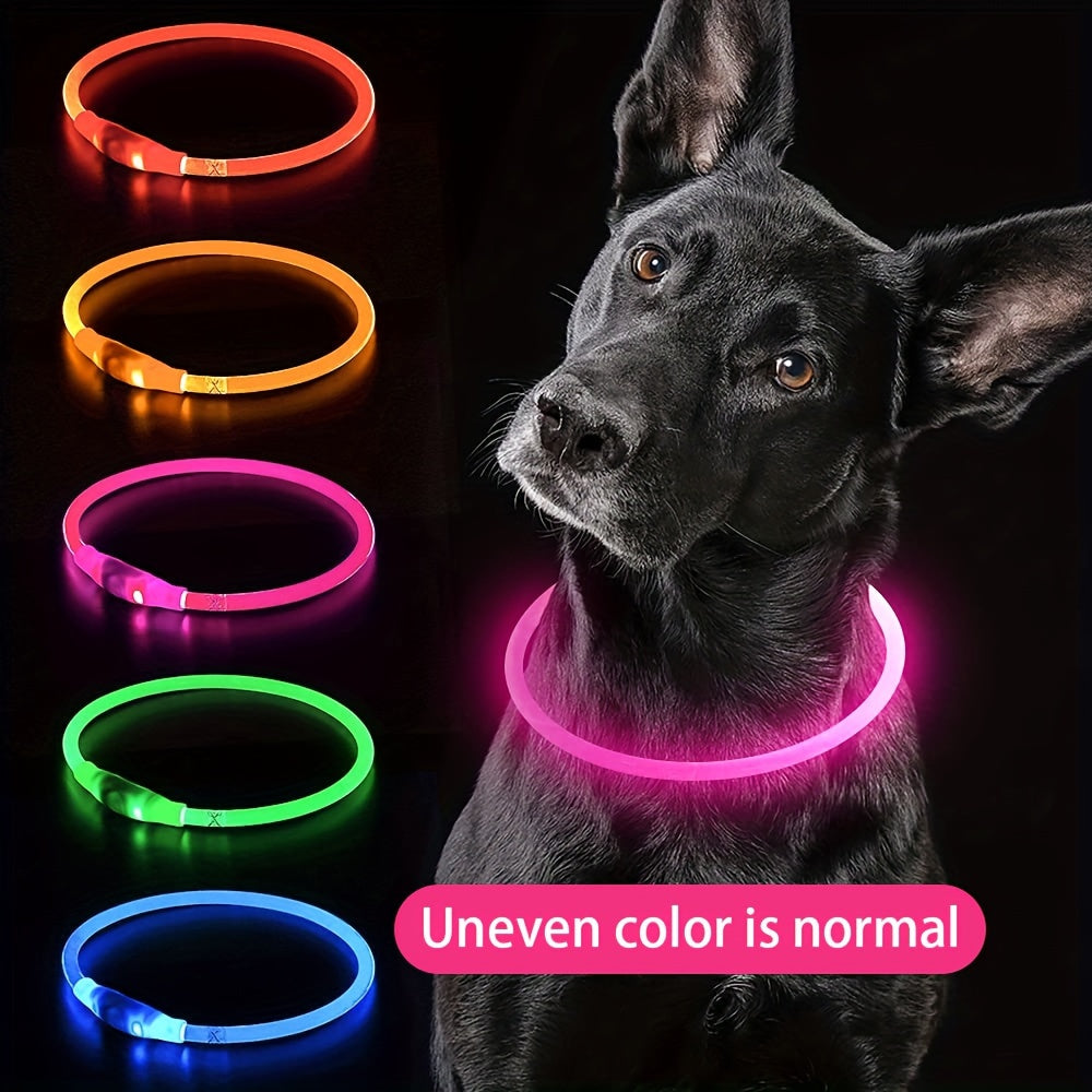 Hundhalsband med LED-ljus, helt lysande på natten, anti-förlust, USB-uppladdningsbart hundhalsband