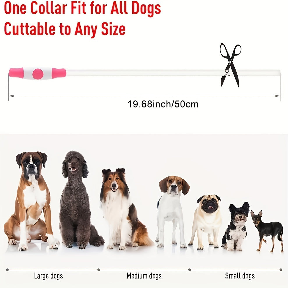 Hundhalsband med LED-ljus, helt lysande på natten, anti-förlust, USB-uppladdningsbart hundhalsband