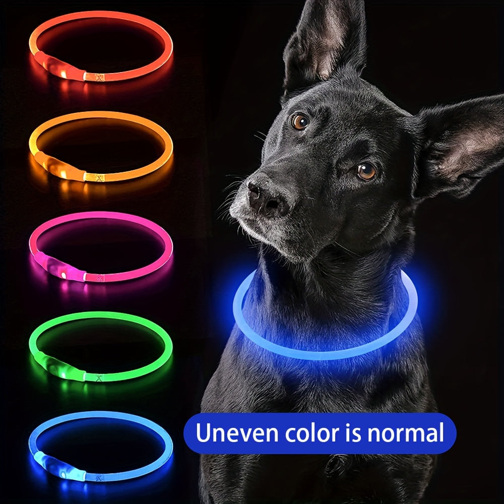 Hundhalsband med LED-ljus, helt lysande på natten, anti-förlust, USB-uppladdningsbart hundhalsband