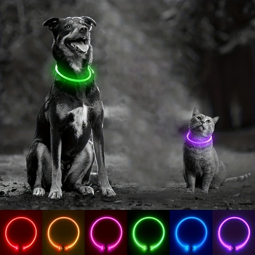 Hundhalsband med LED-ljus, helt lysande på natten, anti-förlust, USB-uppladdningsbart hundhalsband
