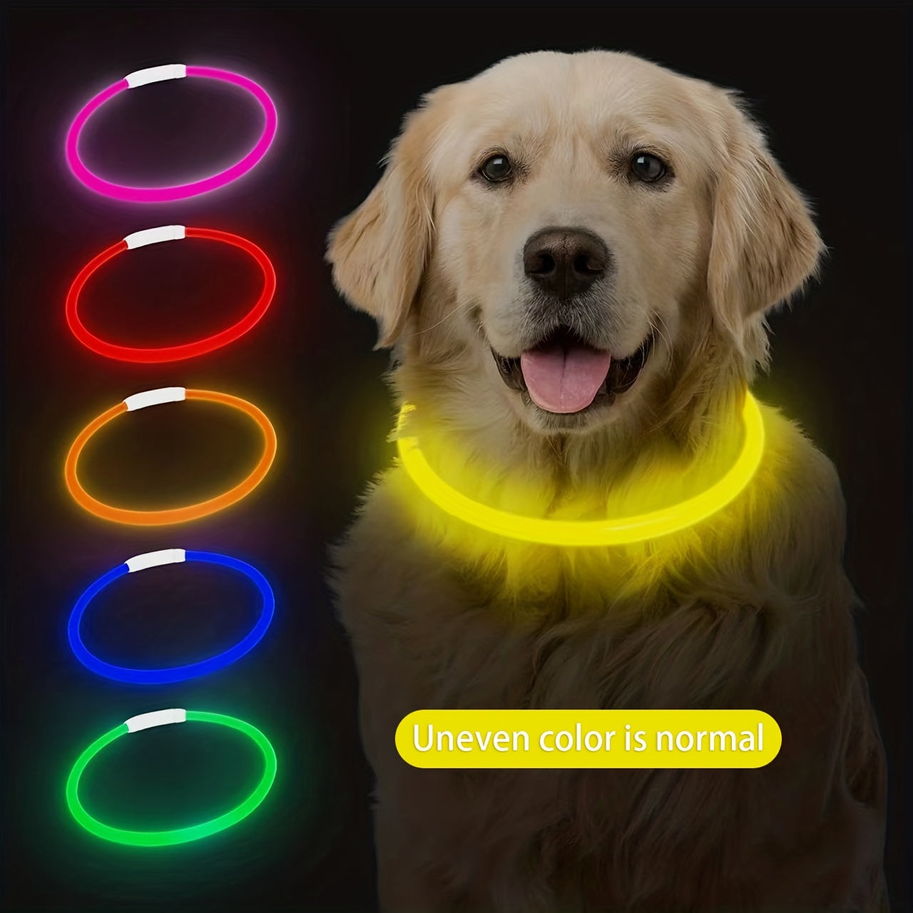 Hundhalsband med LED-ljus, helt lysande på natten, anti-förlust, USB-uppladdningsbart hundhalsband