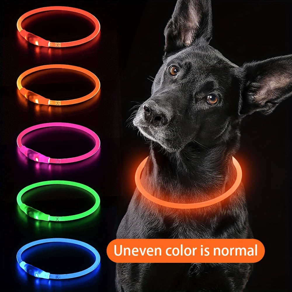Hundhalsband med LED-ljus, helt lysande på natten, anti-förlust, USB-uppladdningsbart hundhalsband