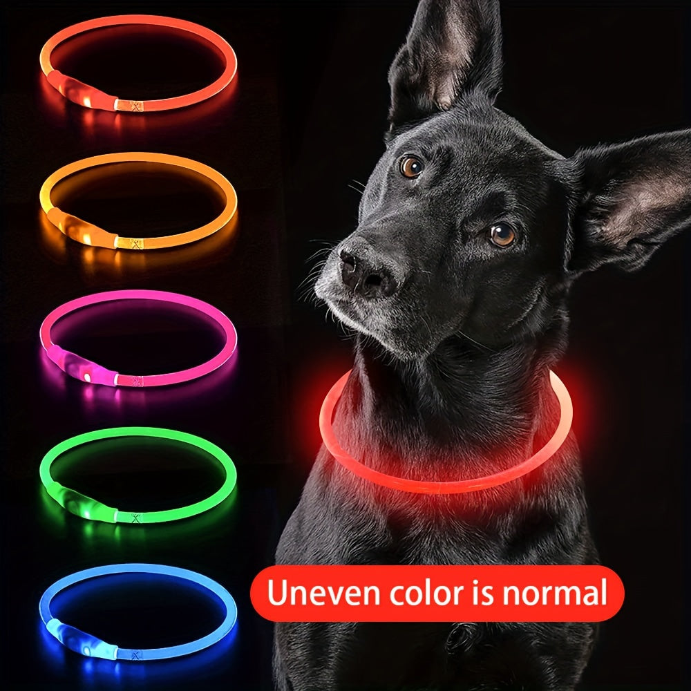 Hundhalsband med LED-ljus, helt lysande på natten, anti-förlust, USB-uppladdningsbart hundhalsband