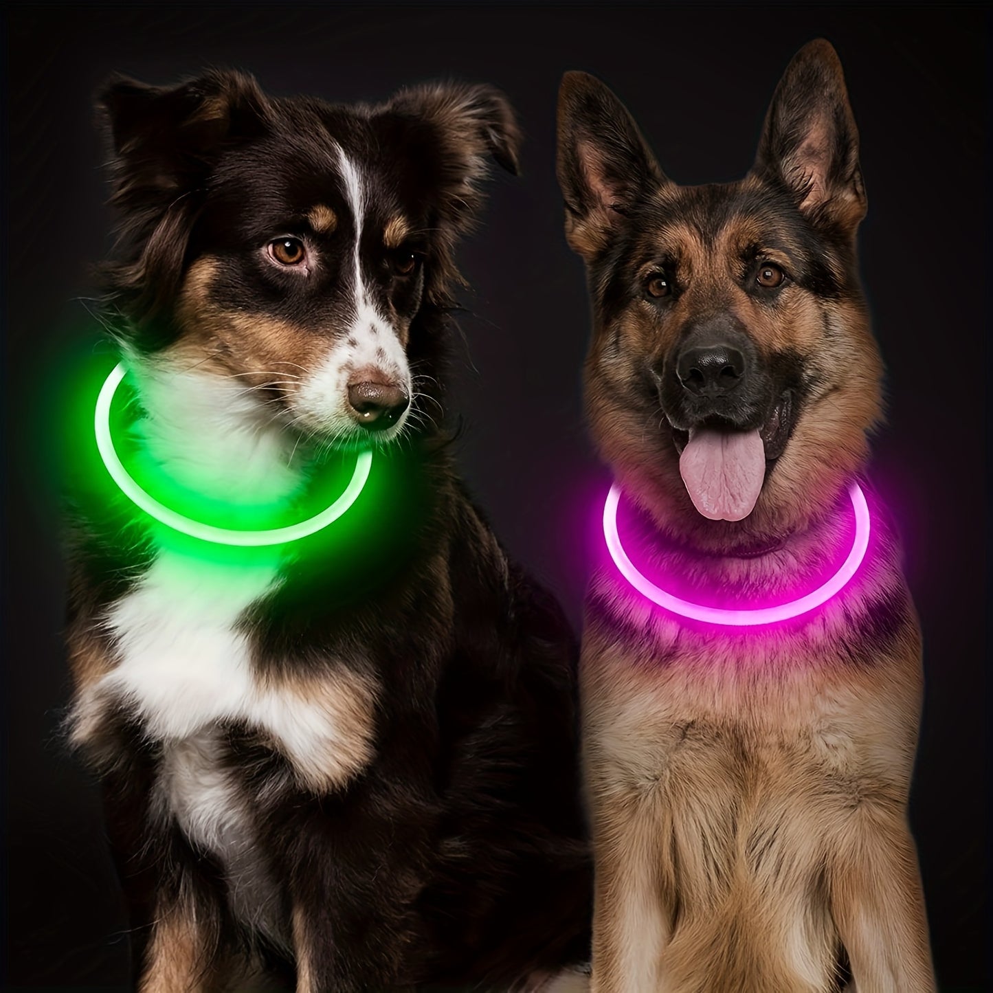 Hundhalsband med LED-ljus, helt lysande på natten, anti-förlust, USB-uppladdningsbart hundhalsband
