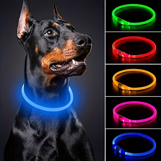 Hundhalsband med LED-ljus, helt lysande på natten, anti-förlust, USB-uppladdningsbart hundhalsband