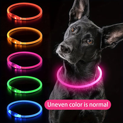 Hundhalsband med LED-ljus, helt lysande på natten, anti-förlust, USB-uppladdningsbart hundhalsband